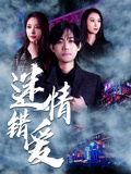 迷情错爱海报